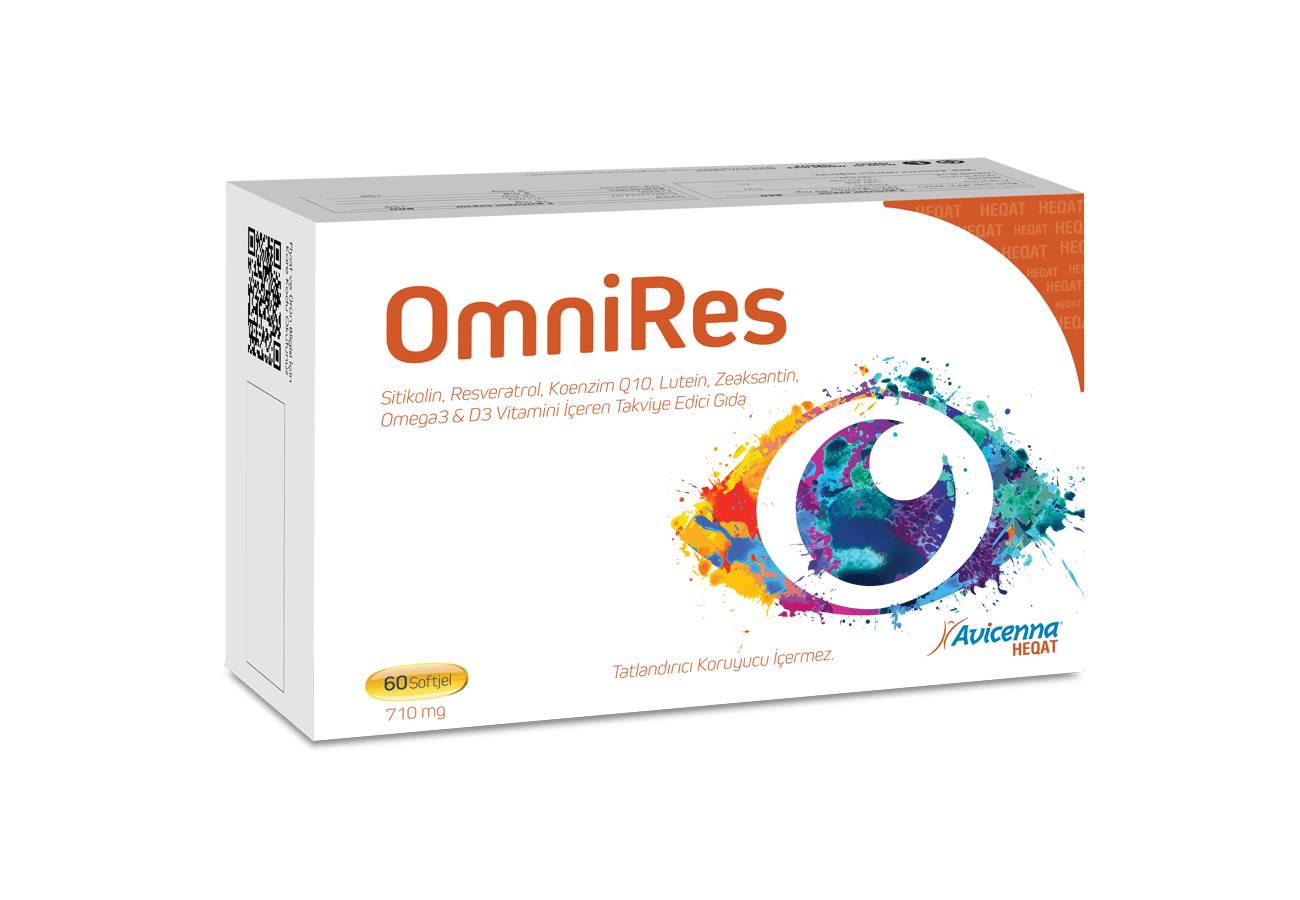 OmniRes