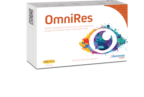 OmniRes